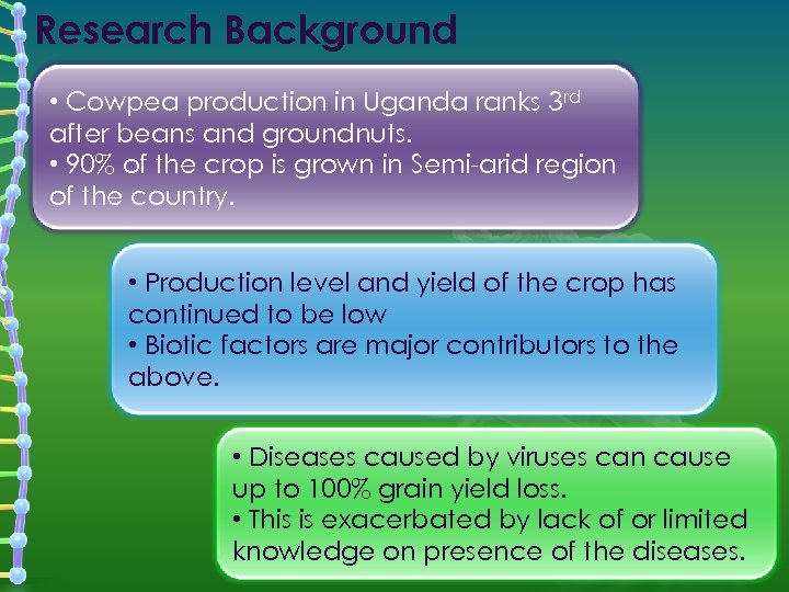 Research Background • Cowpea production in Uganda ranks 3 rd after beans and groundnuts.
