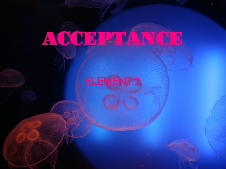 ACCEPTANCE ELEMENT 2 