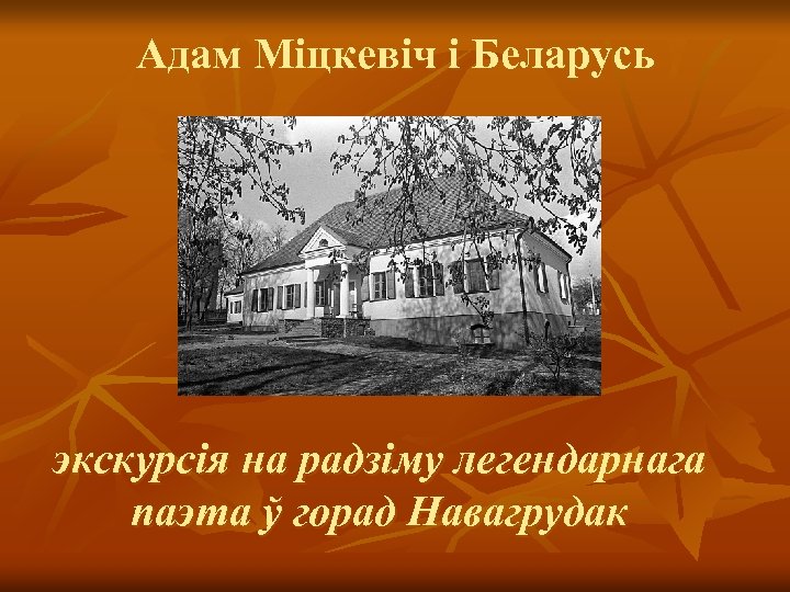 Адам Міцкевіч і Беларусь экскурсія на радзіму легендарнага паэта ў горад Навагрудак 