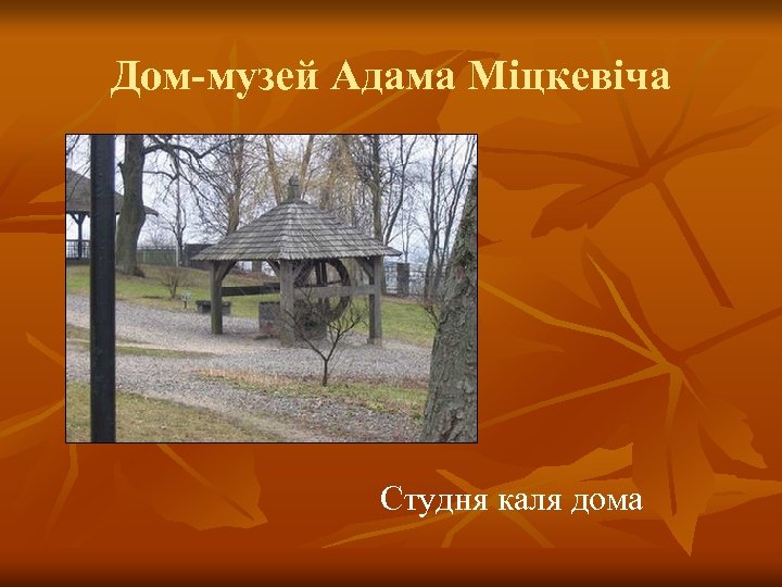 Дом-музей Адама Міцкевіча Студня каля дома 