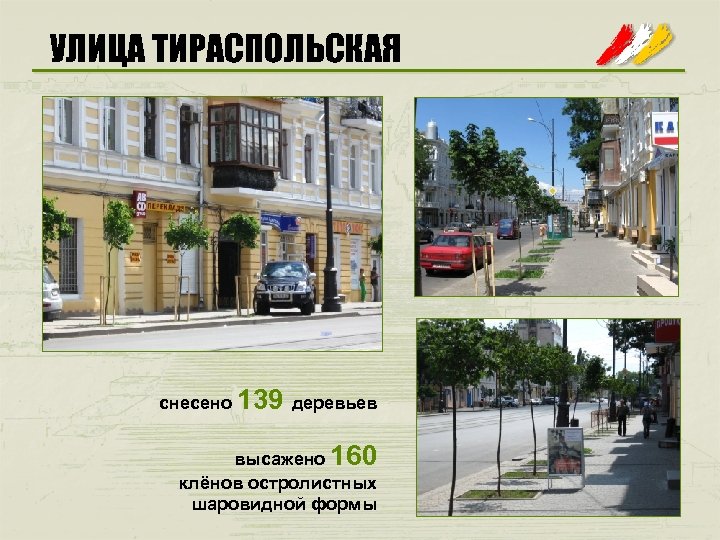 УЛИЦА ТИРАСПОЛЬСКАЯ снесено 139 деревьев высажено 160 клёнов остролистных шаровидной формы 