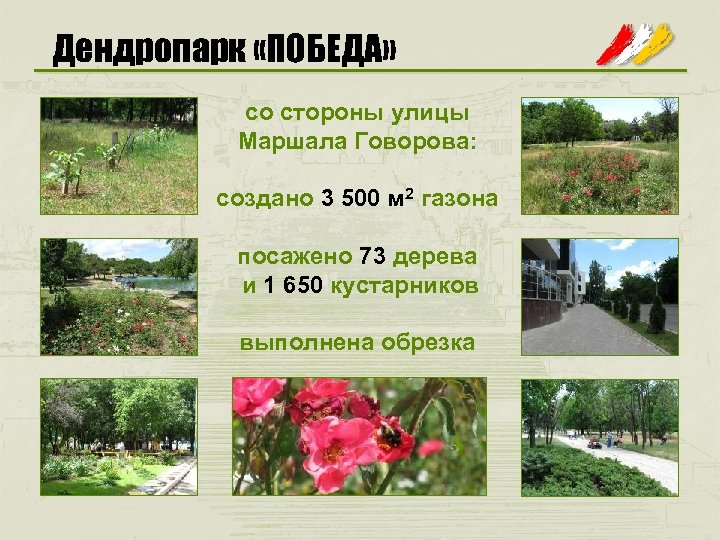 Дендропарк «ПОБЕДА» со стороны улицы Маршала Говорова: создано 3 500 м 2 газона посажено