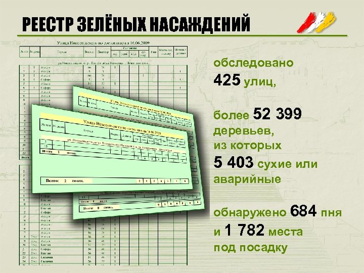 РЕЕСТР ЗЕЛЁНЫХ НАСАЖДЕНИЙ обследовано 425 улиц, более 52 399 деревьев, из которых 5 403