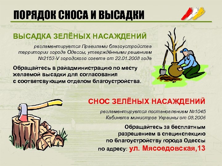 ПОРЯДОК СНОСА И ВЫСАДКА ЗЕЛЁНЫХ НАСАЖДЕНИЙ регламентируется Правилами благоустройства территории города Одессы, утверждёнными решением