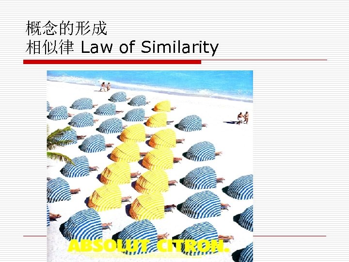 概念的形成 相似律 Law of Similarity 