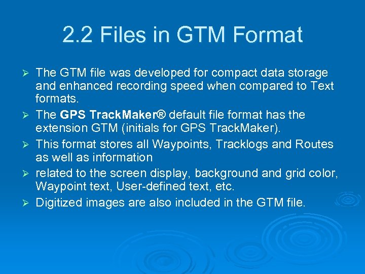 2. 2 Files in GTM Format Ø Ø Ø The GTM file was developed