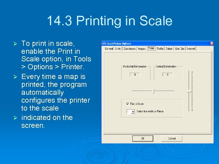 14. 3 Printing in Scale To print in scale, enable the Print in Scale