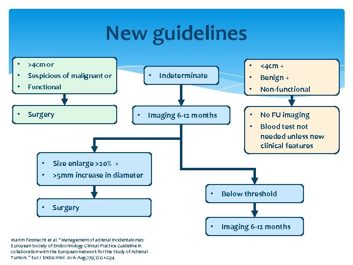 New guidelines • • • >4 cm or • Surgery • Suspicious of malignant