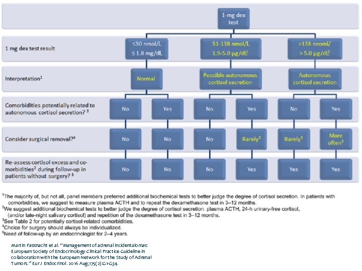 Flowchart Fig 2 Martin Fassnacht et al. “Management of adrenal incidentalomas: European Society of