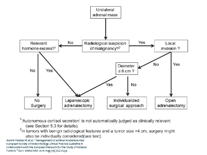 Martin Fassnacht et al. “Management of adrenal incidentalomas: European Society of Endocrinology Clinical Practice