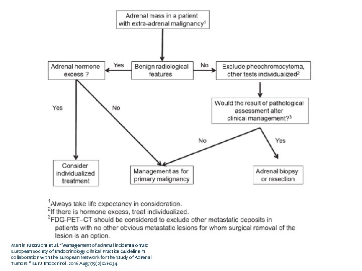 Flowchart Fig 4 Martin Fassnacht et al. “Management of adrenal incidentalomas: European Society of