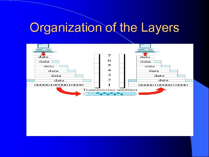 Organization of the Layers 
