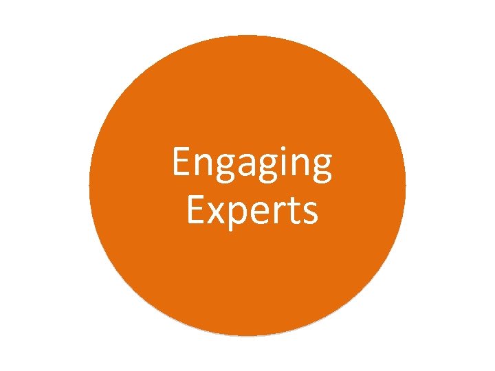 Engaging Experts 