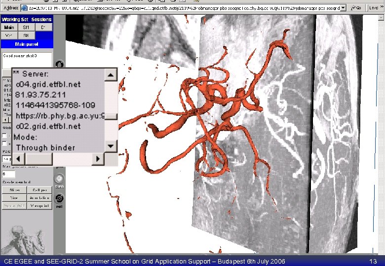 CE EGEE and SEE-GRID-2 Summer School on Grid Application Support – Budapest 6 th