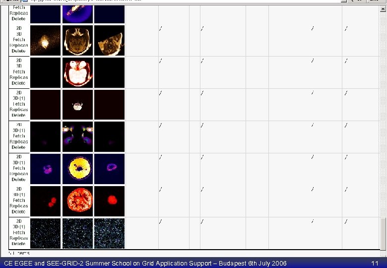 CE EGEE and SEE-GRID-2 Summer School on Grid Application Support – Budapest 6 th