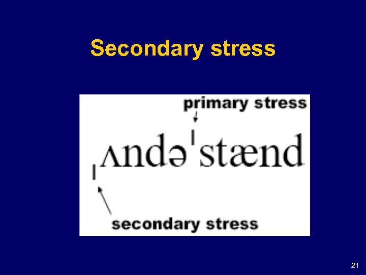 Secondary stress 21 