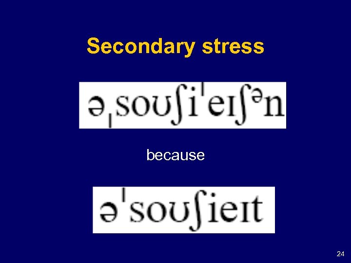Secondary stress because 24 