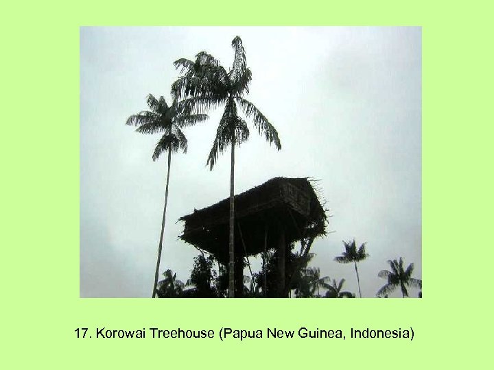 17. Korowai Treehouse (Papua New Guinea, Indonesia) 