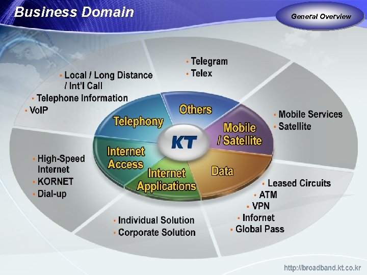 Business Domain General Overview 