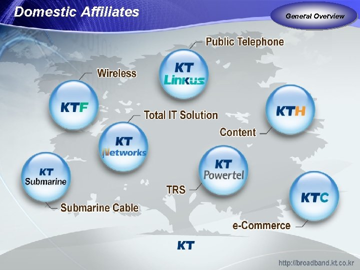 Domestic Affiliates General Overview 