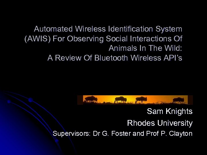 Automated Wireless Identification System (AWIS) For Observing Social Interactions Of Animals In The Wild: