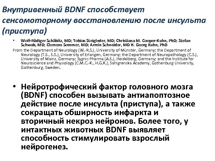 Внутривенный BDNF способствует сенсомоторному восстановлению после инсульта (приступа) Wolf-Rüdiger Schäbitz, MD; Tobias Steigleder, MD;