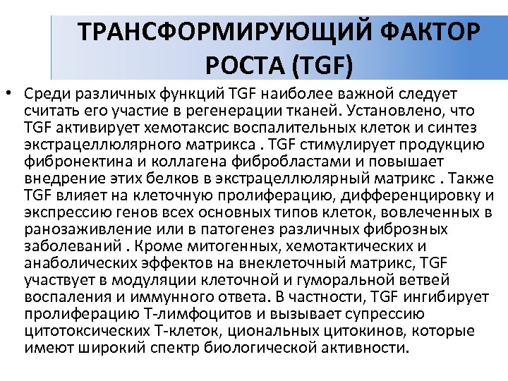 ТРАНСФОРМИРУЮЩИЙ ФАКТОР РОСТА (TGF) • Среди различных функций TGF наиболее важной следует считать его