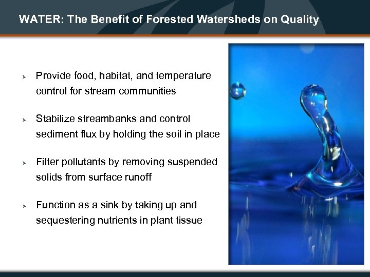 WATER: The Benefit of Forested Watersheds on Quality Ø Ø Provide food, habitat, and