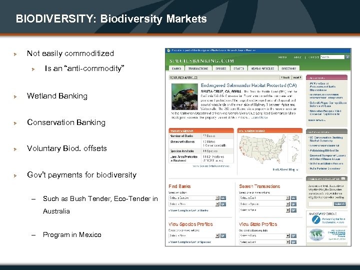 BIODIVERSITY: Biodiversity Markets Ø Not easily commoditized Ø Is an “anti-commodity” Ø Wetland Banking