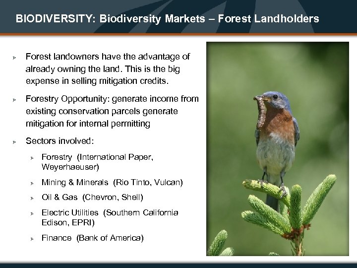 BIODIVERSITY: Biodiversity Markets – Forest Landholders Ø Ø Ø Forest landowners have the advantage