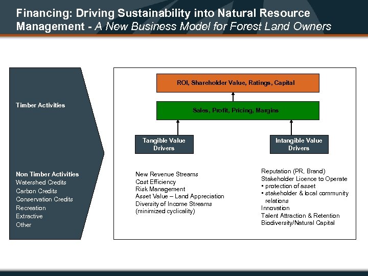 Financing: Driving Sustainability into Natural Resource Management - A New Business Model for Forest