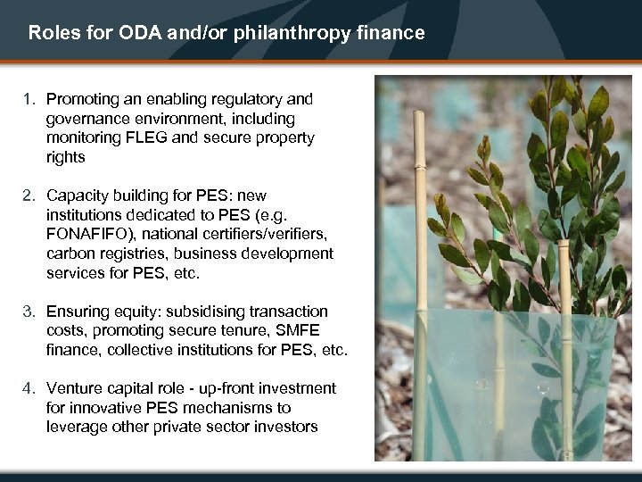 Roles for ODA and/or philanthropy finance 1. Promoting an enabling regulatory and governance environment,