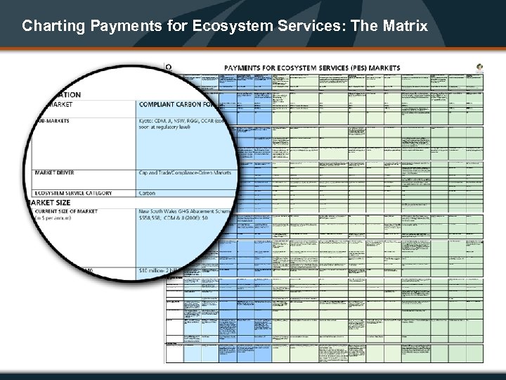 Charting Payments for Ecosystem Services: The Matrix 