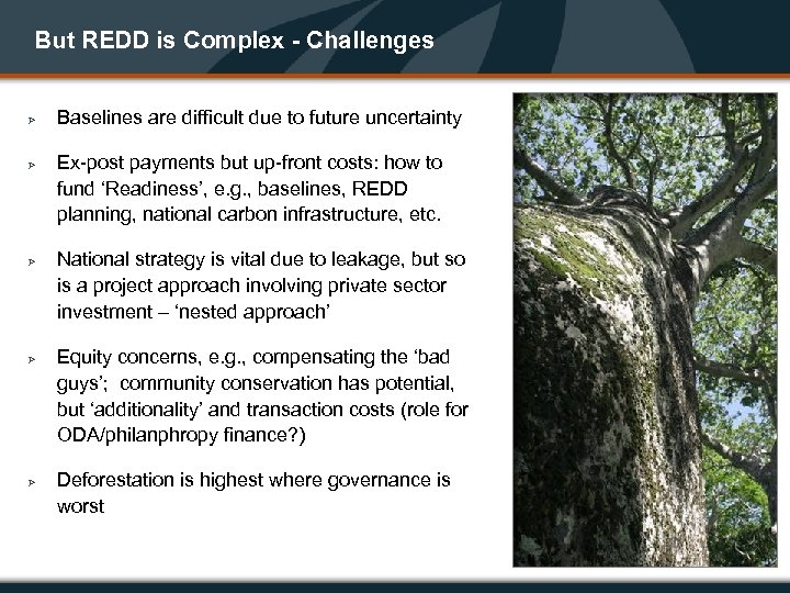 But REDD is Complex - Challenges Ø Ø Ø Baselines are difficult due to
