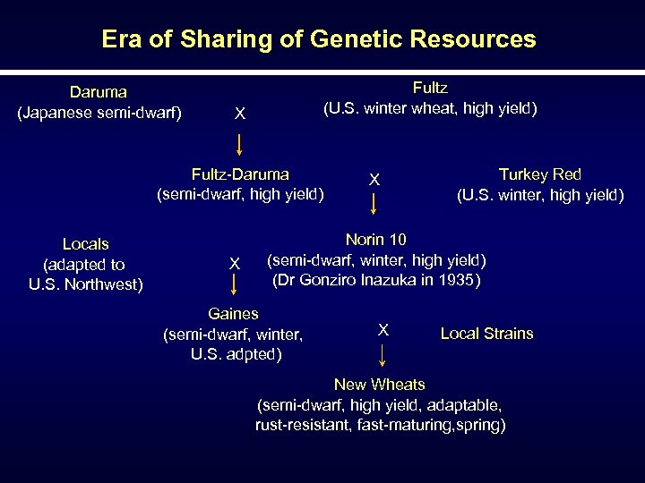 Era of Sharing of Genetic Resources Daruma (Japanese semi-dwarf) Fultz (U. S. winter wheat,