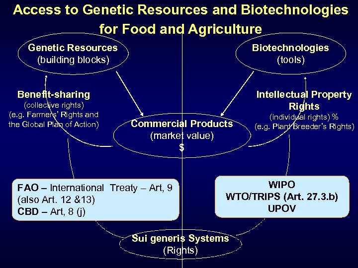 Access to Genetic Resources and Biotechnologies for Food and Agriculture Biotechnologies (tools) Genetic Resources