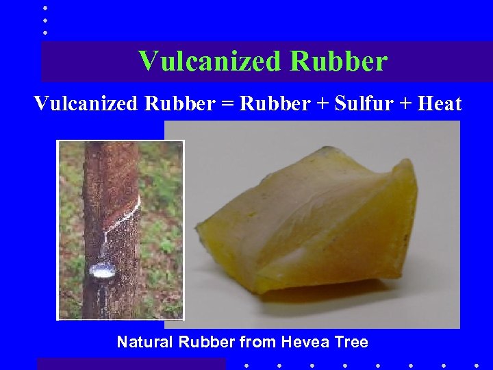 Vulcanized Rubber = Rubber + Sulfur + Heat Natural Rubber from Hevea Tree 