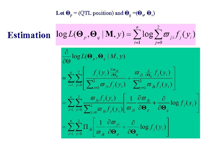 Let p = (QTL position) and q =( u, v) Estimation 