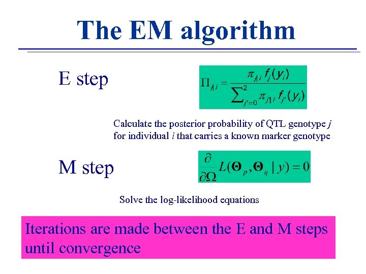 The EM algorithm E step Calculate the posterior probability of QTL genotype j for