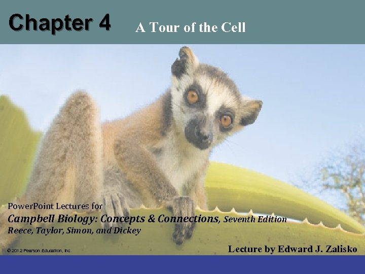 Chapter 4 A Tour of the Cell Power. Point Lectures for Campbell Biology: Concepts
