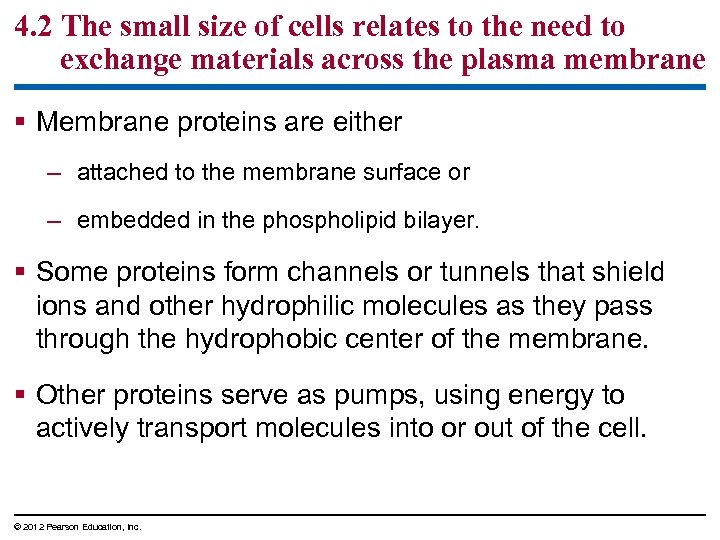 4. 2 The small size of cells relates to the need to exchange materials