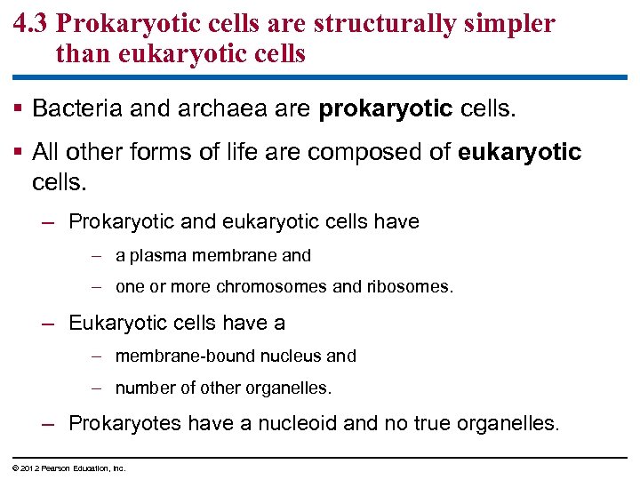 4. 3 Prokaryotic cells are structurally simpler than eukaryotic cells § Bacteria and archaea