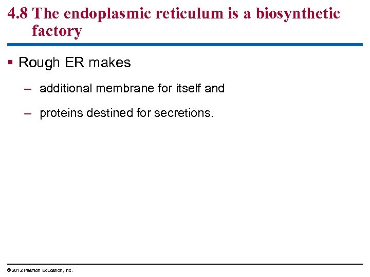 4. 8 The endoplasmic reticulum is a biosynthetic factory § Rough ER makes –