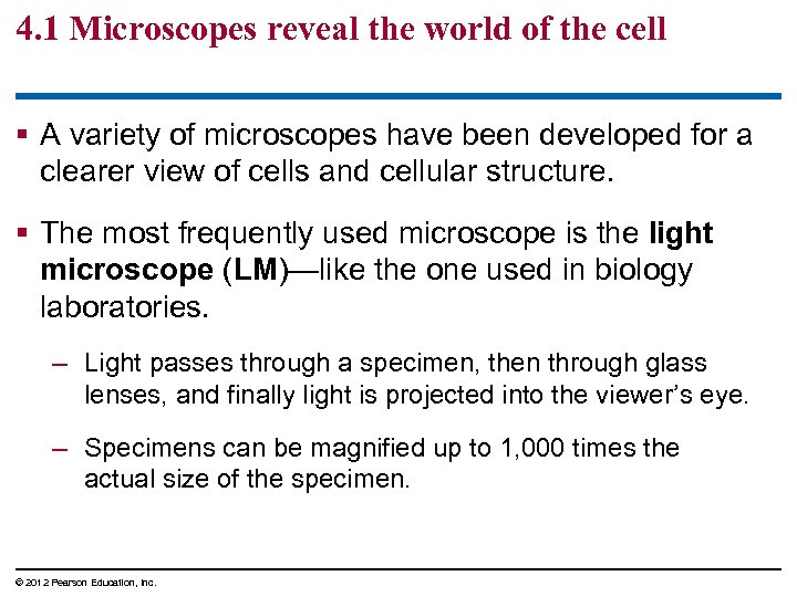 4. 1 Microscopes reveal the world of the cell § A variety of microscopes