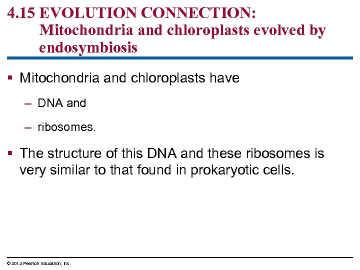 4. 15 EVOLUTION CONNECTION: Mitochondria and chloroplasts evolved by endosymbiosis § Mitochondria and chloroplasts