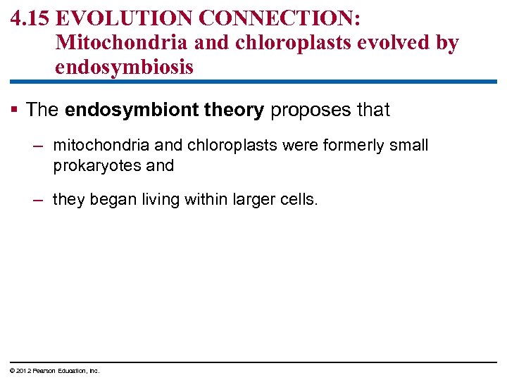 4. 15 EVOLUTION CONNECTION: Mitochondria and chloroplasts evolved by endosymbiosis § The endosymbiont theory