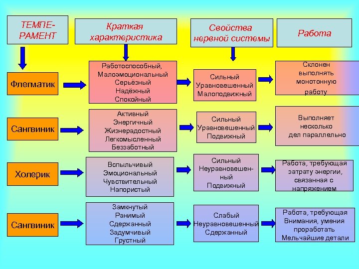 ТЕМПЕРАМЕНТ Краткая характеристика Свойства нервной системы Работа Флегматик Работоспособный, Малоэмоциональный Серьёзный Надёжный Спокойный Сильный