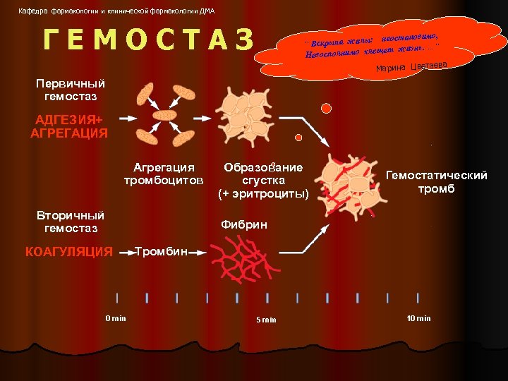 Кафедра фармакологии и клинической фармакологии ДМА ГЕМОСТАЗ о, : неостановим “ Вскрыла жилы “