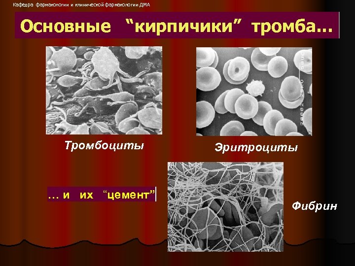 Кафедра фармакологии и клинической фармакологии ДМА Основные “кирпичики” тромба… Тромбоциты … и их “цемент”