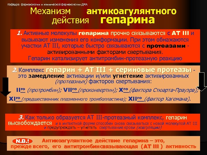 Кафедра фармакологии и клинической фармакологии ДМА Механизм антикоагулянтного действия гепарина 1. Активные молекулы гепарина